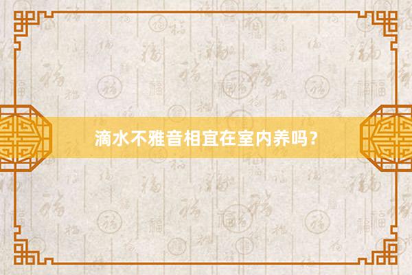 滴水不雅音相宜在室内养吗？